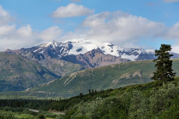 Pittoreske bergen van Alaska. Met sneeuw bedekte massieven, gletsjers en rotsachtige toppen.