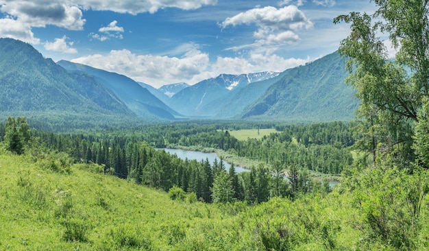 Pittoreske bergvallei op een zonnige zomerdag wilde rivier