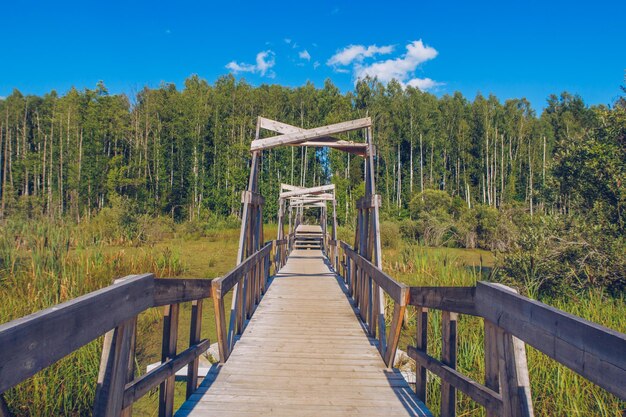 Pittoreske bos houten brug door het overwoekerde moeras. Groen grasland platteland stock photography. Rusland.