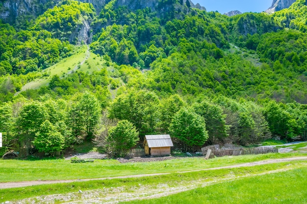 Pittoreske groene weiden bij de grote hoge bergen.