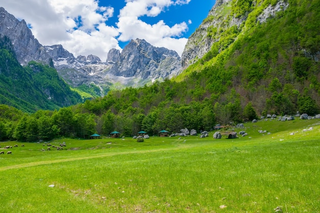 Pittoreske groene weiden bij de grote hoge bergen