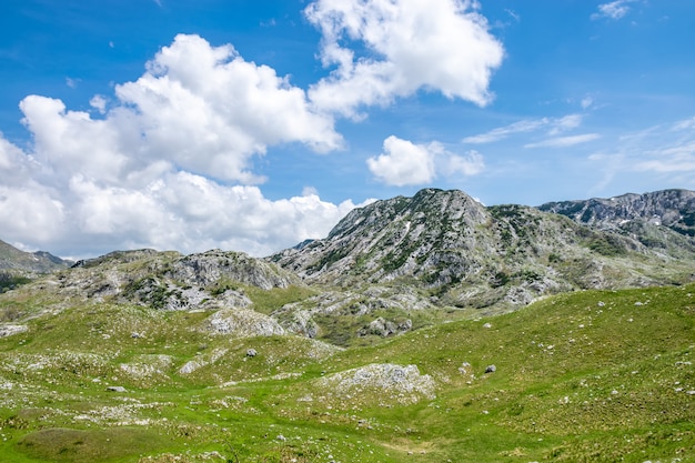 Pittoreske hoge bergen in het noorden van Montenegro in het Nationaal Park Durmitor