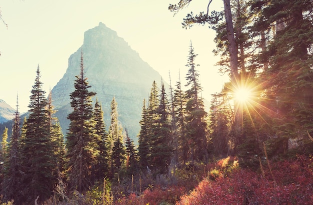 Pittoreske rotsachtige toppen van het Glacier National Park Montana USA Herfstseizoen Prachtige natuurlijke landschappen