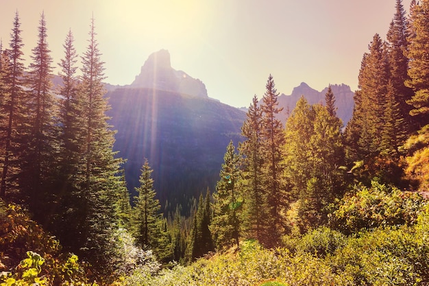 Pittoreske rotsachtige toppen van het Glacier National Park, Montana, USA