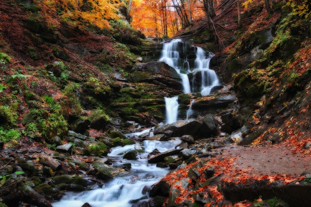 Pittoreske waterval in de herfst bos