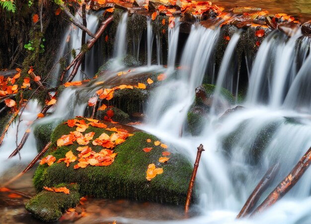 Pittoreske waterval in de herfst bos