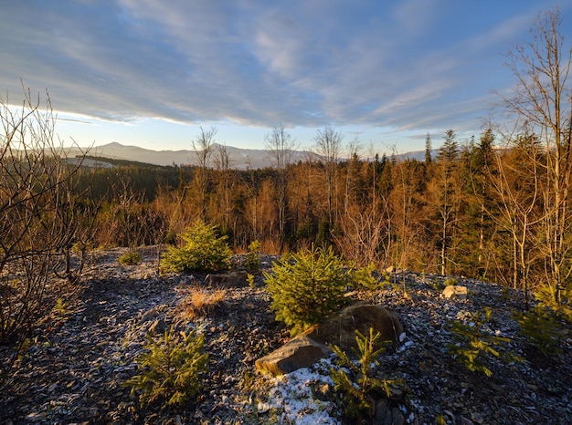 Pittoreske zonsopgang boven het late herfstberglandschap Oekraïne Karpaten Vreedzame reizende seizoensgebonden natuur en landschap schoonheid concept scene