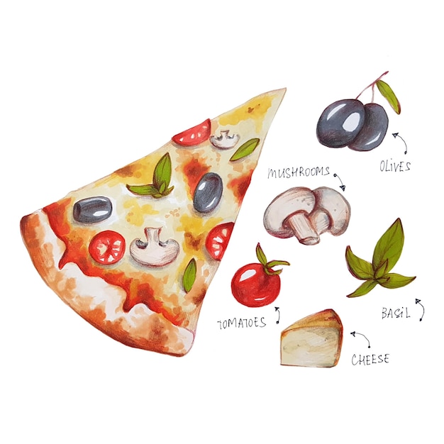 Pizza con funghi, illustrazione di pennarello, illustrazione di tiraggio della mano, isolata