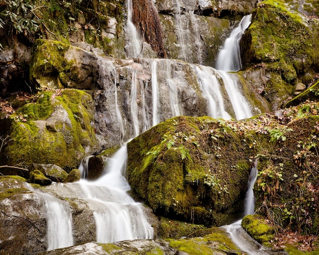 Plaats van duizend druppels in smokies