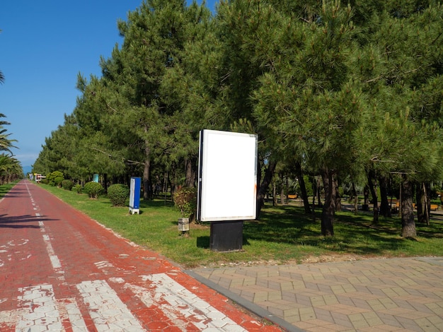 Place for advertising Advertisement stand Mocap among palm trees Place for an inscription