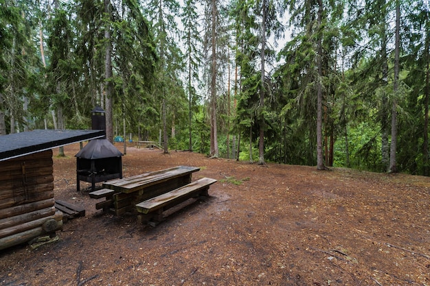 여름에 숲에서 캠핑을 위한 장소