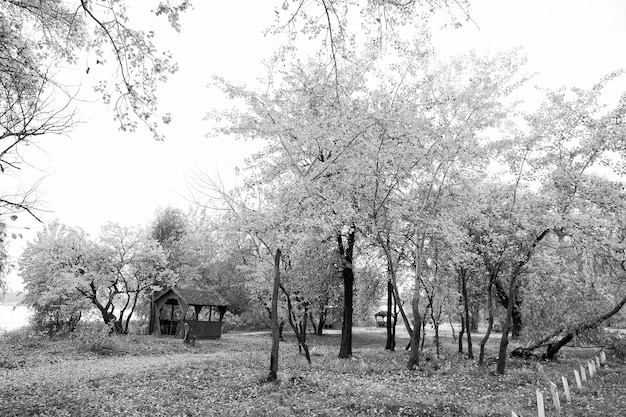 Место волшебства Городской парк осенью Парковый пейзаж осенью Деревья в парке меняют цвет Осенний парк Отдых и отпуск