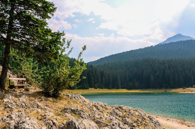A place for meditation in nature Black lake in Durmitor national Park Montenegro