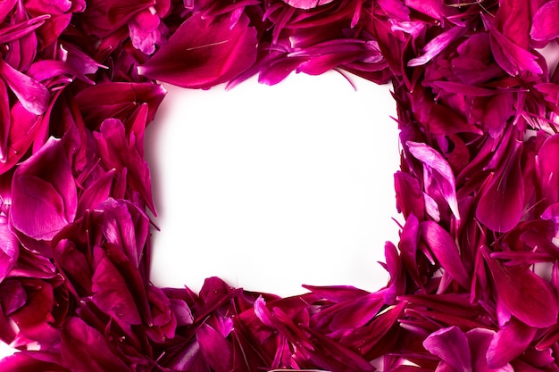 A place for text. Peony petal frame