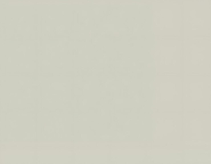 A plain light gray background with subtle texture