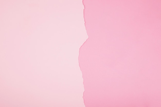 Foto semplice sfondo rosa