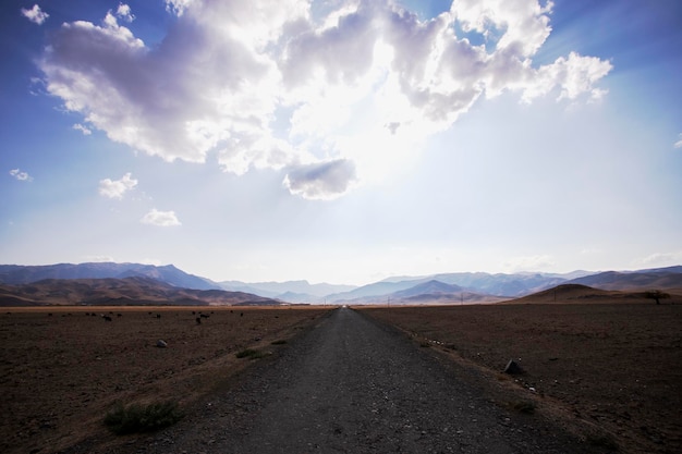 Photo plain road animals the sun behind the clouds