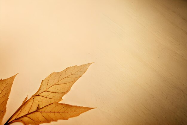 Photo plain water leaf color a background