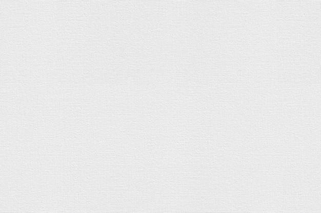 Plain White Texture Background