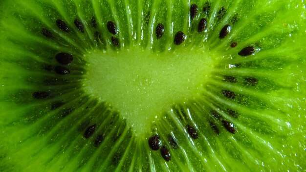 Plak van kiwifruit dat op witte achtergrond wordt geïsoleerd