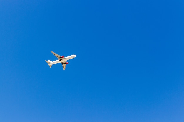 A plane flying in the blue sky without white clouds