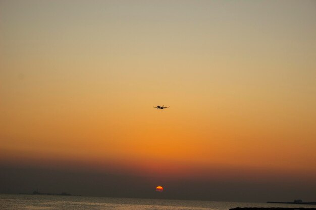 Photo plane flying in a sky