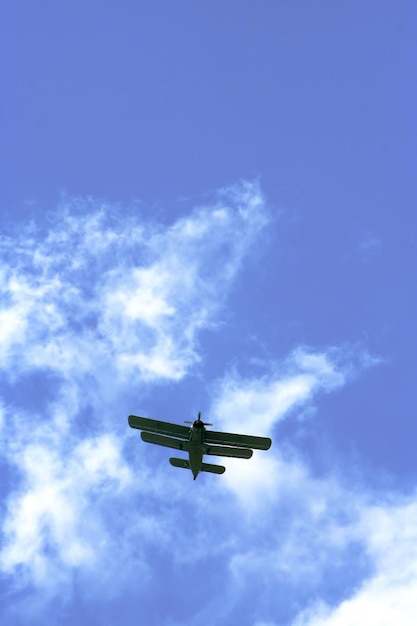 飛行機