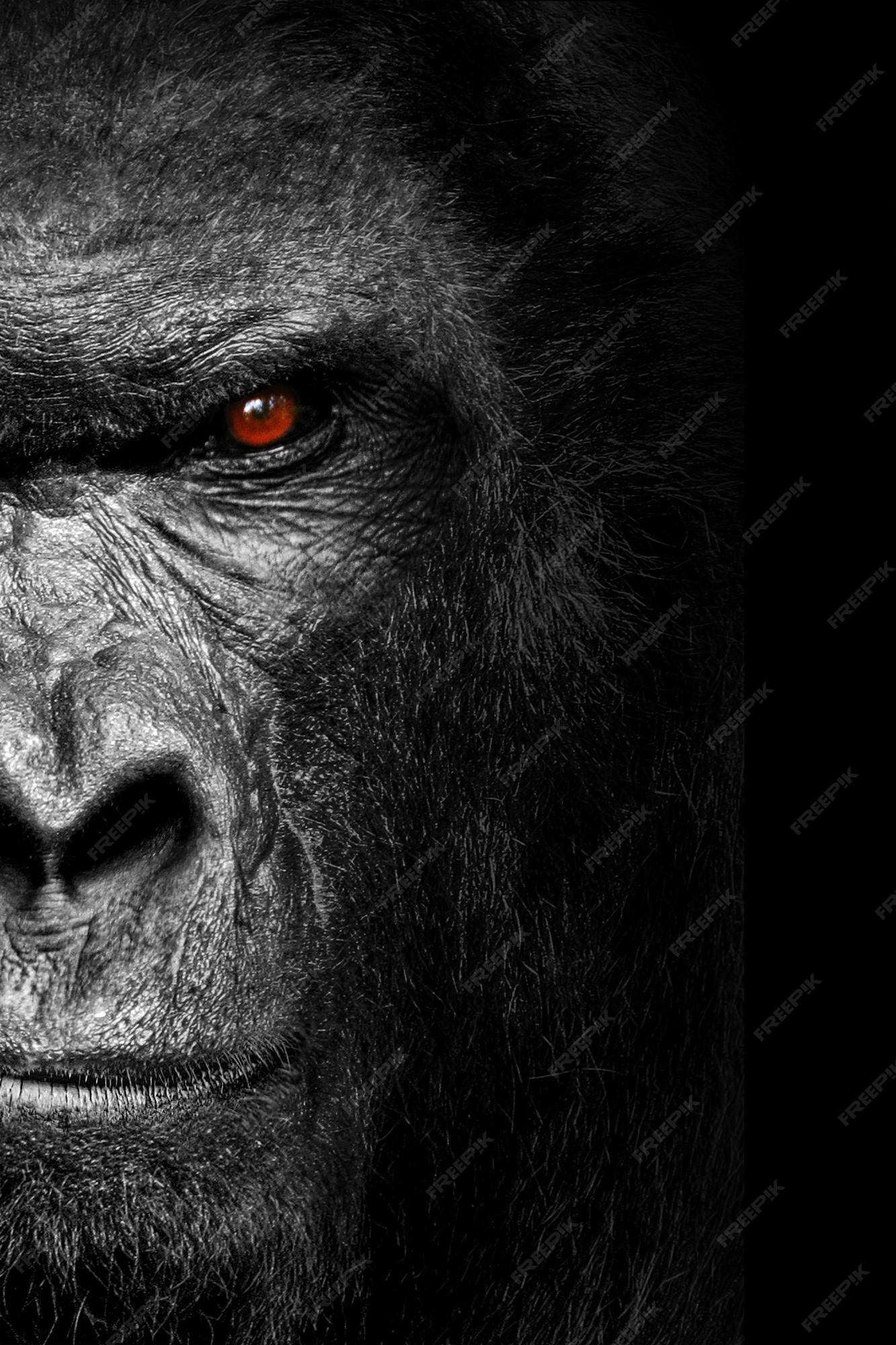 Premium Photo | Planet of the apes wallpapers hd