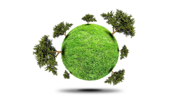 Planet Earth made from green grass Ecology concept