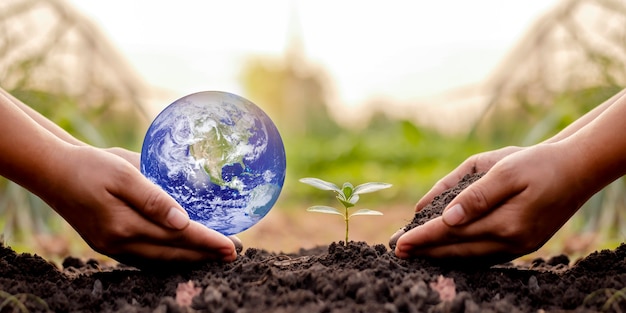 Planeten en zaailingen in mensenhanden op de grond uitwisselen