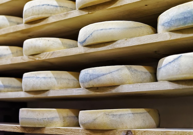 Planken met rijpende kaas op houten planken in de rijpende kelder van de Franche Comte-zuivelfabriek, in Frankrijk