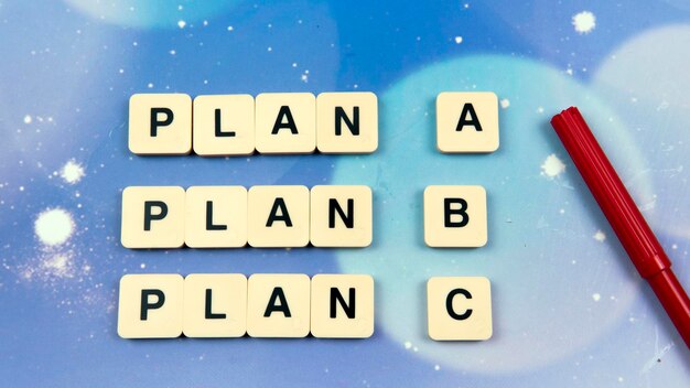 Planning ahead to achieve goal concept selective focus on the word plan