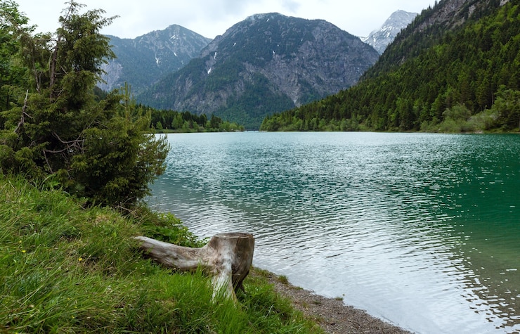 Фотография летний пейзаж plansee с пнем впереди. пасмурный день. (австрия).