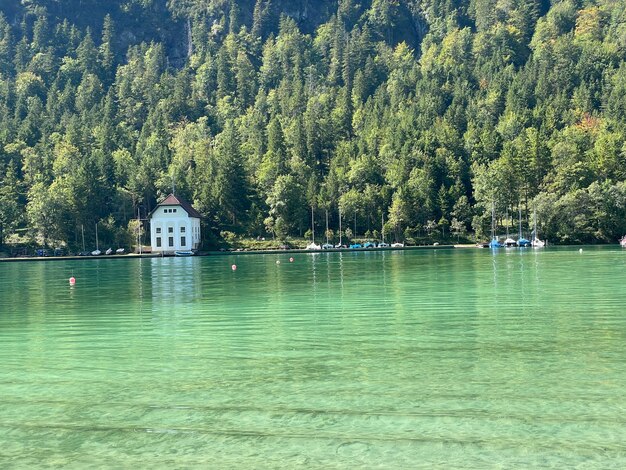 In plansee