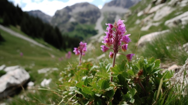 Plant at alpine meadow generative ai