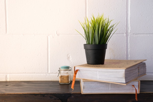 a plant black pot on books, a bottle of raw sugar on side on wooden table and with white 