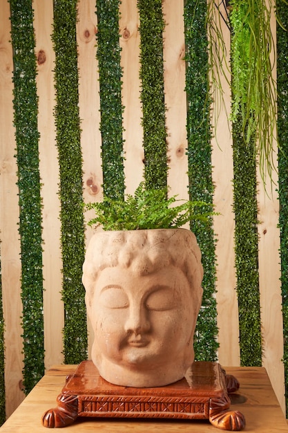 Plant in clay pots on wooden table