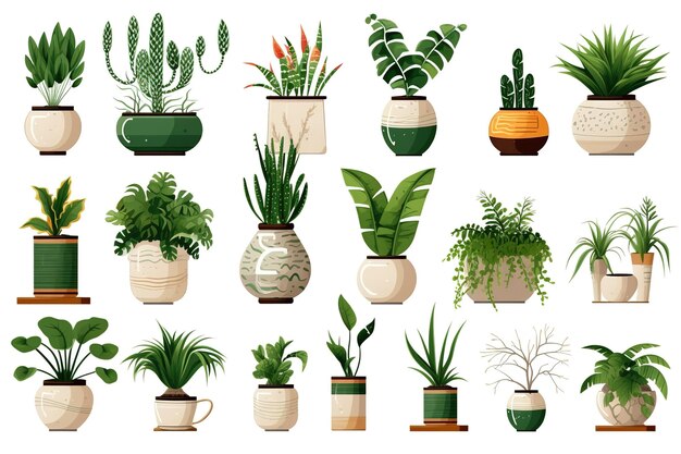 plant collection set illustration