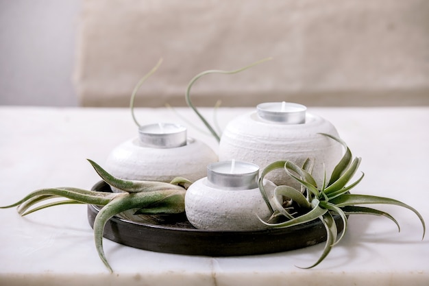 Plant composition with tillandsia air and set of craft ceramic porcelain candle holders on dark plate on white marble table.