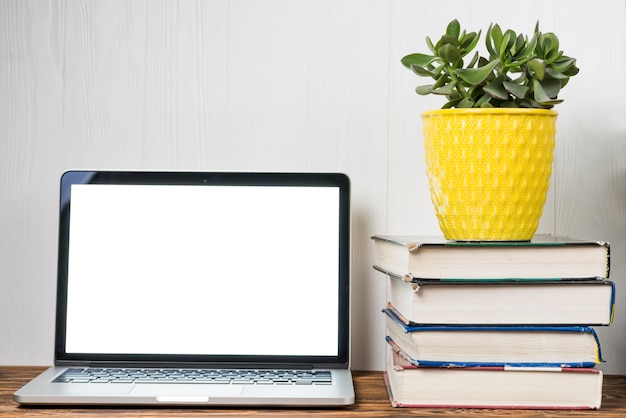 Plant en boeken in de buurt van de laptop