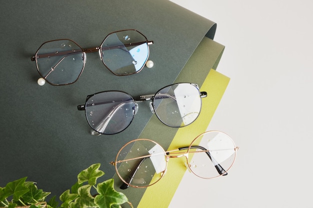 Photo plant and eye glasses on rolled green paper, vision test concept, beautiful stylish fashion accessories in optics store