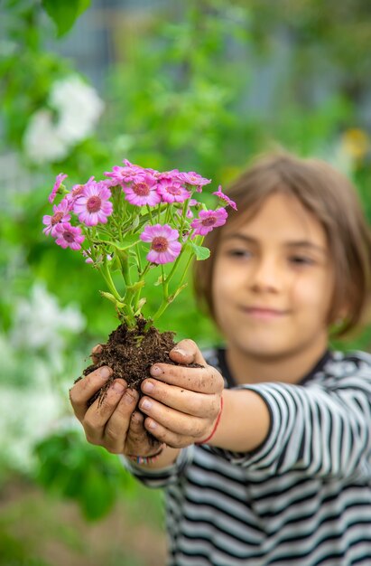 Plant flowers in the garden