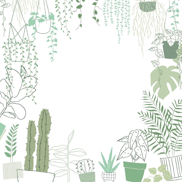 植物框架 png 用手绘的涂<unk>风格