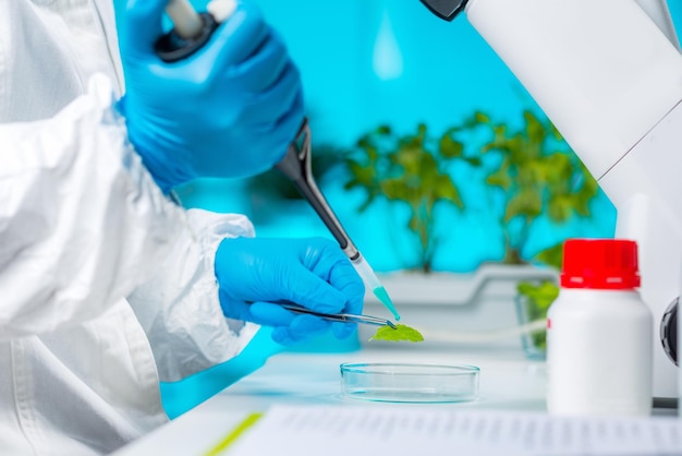 plant genetics