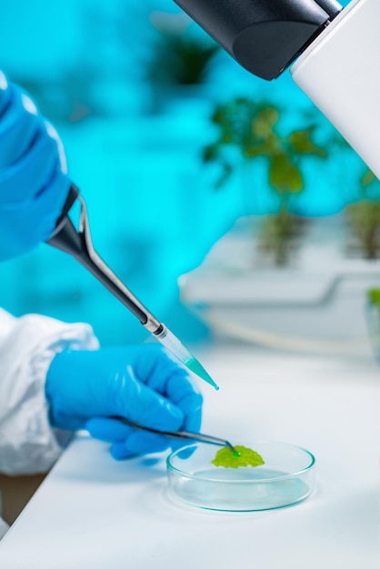 plant genetics