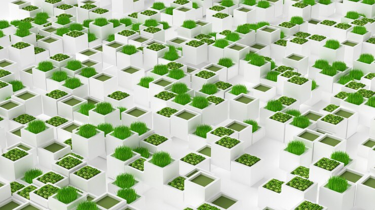 Photo plant green concept 3d illustration