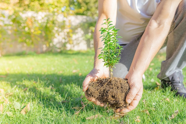 Plant groeiende boerderij voor tuinaanleg