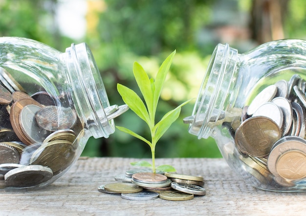 Plant groeit van munten buiten twee glazen potten op wazig groene natuurlijke achtergrond. Natuurlijk.