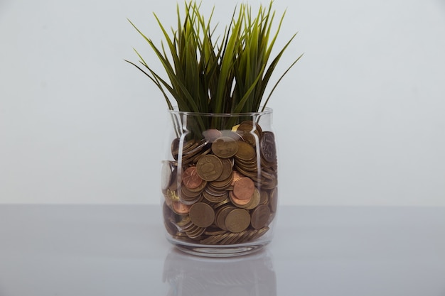 Plant growing out of coins.