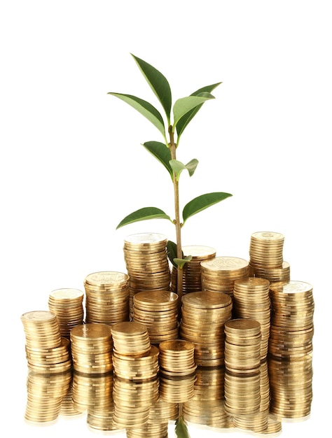 Plant growing out of gold coins isolated on white